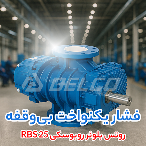روتس بلوئر روبوسکی RBS 25